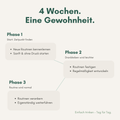 Ablauf - 4 Wochen - 3 Phasen werden erklärt