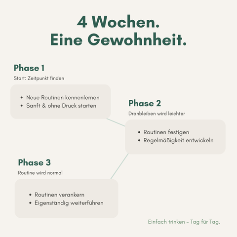 Ablauf - 4 Wochen - 3 Phasen werden erklärt