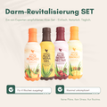 myAloeWorld Darm Revitalisierung SET - 4x Forever Living Aloe Vera Gel