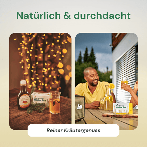 Aloe Blossom Herbal Tea, 25 Teebeutel