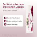 Forever Aloe Lips – Lippenpflege gegen trockene Lippen, schützt bei Wind und Kälte